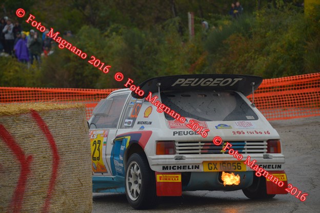 DSC_8374.JPG